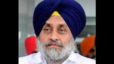 Asserting that CM Bhagwant Mann was letting PSPCL go into a downward spiral, Shiromani Akali Dal (SAD) president Sukhbir Singh Badal said the government is not reimbursing it for the free power being supplied to farmers. (HT File)