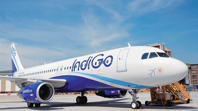 This is the second such incident reported in an Indigo's flight in the last 20 days. (File)