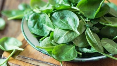 Spinach: It is rich in iron and folate, and folate deficiency is associated with increased risk of depressive symptoms. (Unsplash) Spinach: It is rich in iron and folate, and folate deficiency is associated with increased risk of depressive symptoms. (Unsplash)