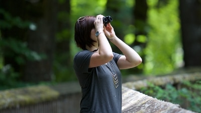 Whether you are a seasoned birder or a beginner, these destinations offer something for everyone. (Unsplash/Kayla Farmer) Whether you are a seasoned birder or a beginner, these destinations offer something for everyone. (Unsplash/Kayla Farmer)