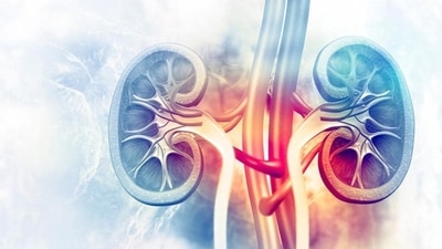 Kidney disease: Foods to lower your creatinine levels (HT_PRINT) Kidney disease: Foods to lower your creatinine levels (HT_PRINT)