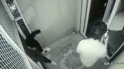 Around midnight, when they were going back to their rooms, it is suspected that Bhattacharya lost his balance and fell. (Twitter)
