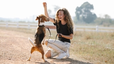 A recent survey media survey suggests that nearly 60% of Indians own over 10 million dogs today, and this number could increase to 30 million dogs in 2023 alone. (Pexels) A recent survey media survey suggests that nearly 60% of Indians own over 10 million dogs today, and this number could increase to 30 million dogs in 2023 alone. (Pexels)