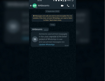 The 'pin message' feature WhatsApp is reportedly working on (Image courtesy: WABetaInfo) The 'pin message' feature WhatsApp is reportedly working on (Image courtesy: WABetaInfo)