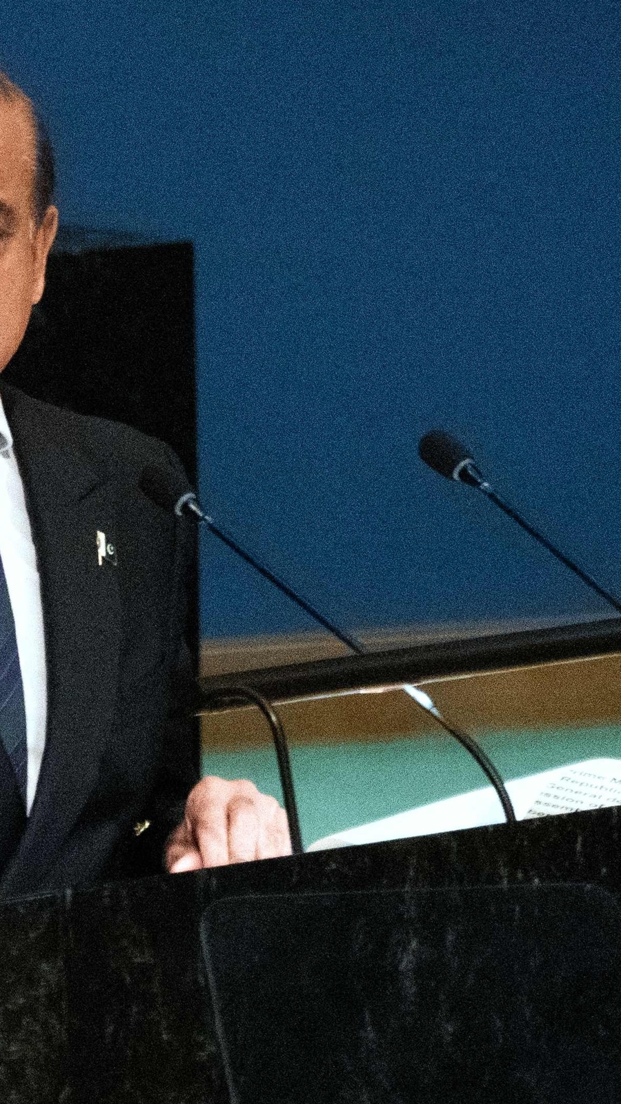 Pakistani PM Shehbaz Sharif (AFP/Representative Image)