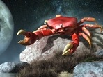 Cancer Weekly Horoscope for February 5-11, 2023 There can be progress in all areas of life for native Cancers this week. Cancer Weekly Horoscope for February 5-11, 2023 There can be progress in all areas of life for native Cancers this week.