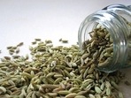Like many other spices fennel seeds have been used for both culinary and medicinal purposes since time immemorial. (Pixabay) Like many other spices fennel seeds have been used for both culinary and medicinal purposes since time immemorial. (Pixabay)