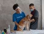 Pet care: Importance of regular vet visits for your pet's health(Pexels/Mikhail Nilov) Pet care: Importance of regular vet visits for your pet's health(Pexels/Mikhail Nilov)