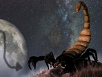 Scorpio Weekly Horoscope for February 5-11, 2023: Scorpios can expect a smooth working period. Scorpio Weekly Horoscope for February 5-11, 2023: Scorpios can expect a smooth working period.