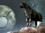 Taurus horoscope 2022: This week, Taureans can expect to feel great.(shutterstock) Taurus horoscope 2022: This week, Taureans can expect to feel great.(shutterstock)