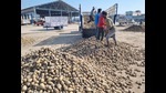Pipli is the biggest potato mandi in the state and farmers from Haryana and Punjab sell their produce here but due to the fall in the prices, thousands of potato growers associated with this mandi are suffering losses. (HT Photo) Pipli is the biggest potato mandi in the state and farmers from Haryana and Punjab sell their produce here but due to the fall in the prices, thousands of potato growers associated with this mandi are suffering losses. (HT Photo)