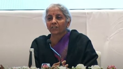 Nirmala Sitharaman said FPOs come and get out and these fluctuations are common.