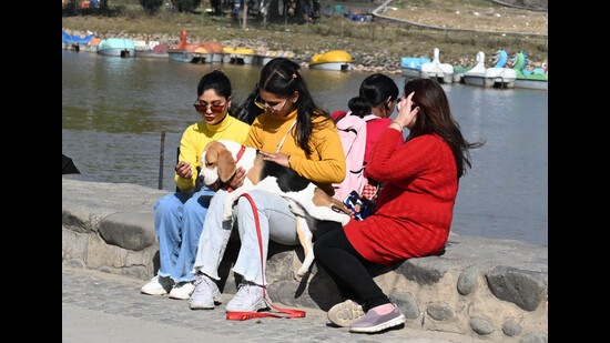 Residents enjoying the sunny weather at Sukhna Lake in Chandigarh on Saturday. (Sanjeev Sharma/HT)