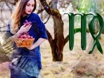 Virgo Daily Horoscope Today for February 6, 2023: Try to limit frivolous expenses to the minimum, and use the savings for futureproofing. Virgo Daily Horoscope Today for February 6, 2023: Try to limit frivolous expenses to the minimum, and use the savings for futureproofing.