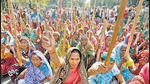 Farmers are strongly opposing the setting up of industrial estates as they would lose fertile lands. (Representative Image/HT Archive) Farmers are strongly opposing the setting up of industrial estates as they would lose fertile lands. (Representative Image/HT Archive)