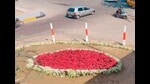 Inderjeet Singh said that the colourful flowers on the side of the road have changed the imagery altogether. (HT Photo) Inderjeet Singh said that the colourful flowers on the side of the road have changed the imagery altogether. (HT Photo)
