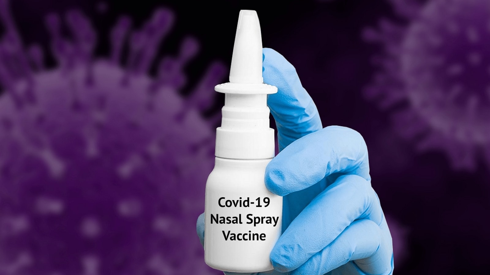 3 Lakh Intranasal Covid Vaccine Doses Sent To Hospitals: Bharat Biotech ...