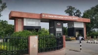 The row erupted over a dialogue in a skit performed by the students during the freshers’ party on February 1. Varsity’s CSO Sukhbir Singh reportedly objected to the name of a character “Sukhi” in the skit. (Sourced)