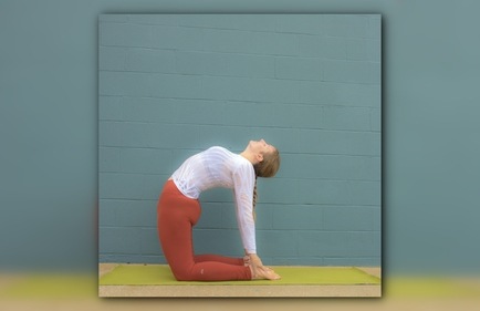 Ustrasana aka camel pose: Sit on your knees then arch your back and hold your feet with your hands. Hold this position for a while, breath out and come back to the original posture. (Unsplash) Ustrasana aka camel pose: Sit on your knees then arch your back and hold your feet with your hands. Hold this position for a while, breath out and come back to the original posture. (Unsplash)