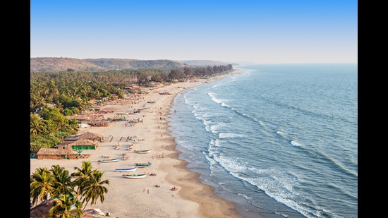 Goa reported 974 of the violations. (Shutterstock) Goa reported 974 of the violations. (Shutterstock)
