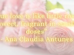 Rose Day 2023: Beautiful quote to share with your love.(Ht Photo) Rose Day 2023: Beautiful quote to share with your love.(Ht Photo)