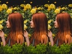 Shampoos should be free of chemicals as they harm scalp and hair. (Pexels) Shampoos should be free of chemicals as they harm scalp and hair. (Pexels)