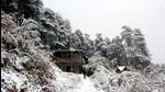 The higher reaches of Himachal Pradesh received overnight snowfall, while isolated places in the lower hills got rain on Monday morning, bringing down the temperature. (Deepak Sansta/HT file) The higher reaches of Himachal Pradesh received overnight snowfall, while isolated places in the lower hills got rain on Monday morning, bringing down the temperature. (Deepak Sansta/HT file)