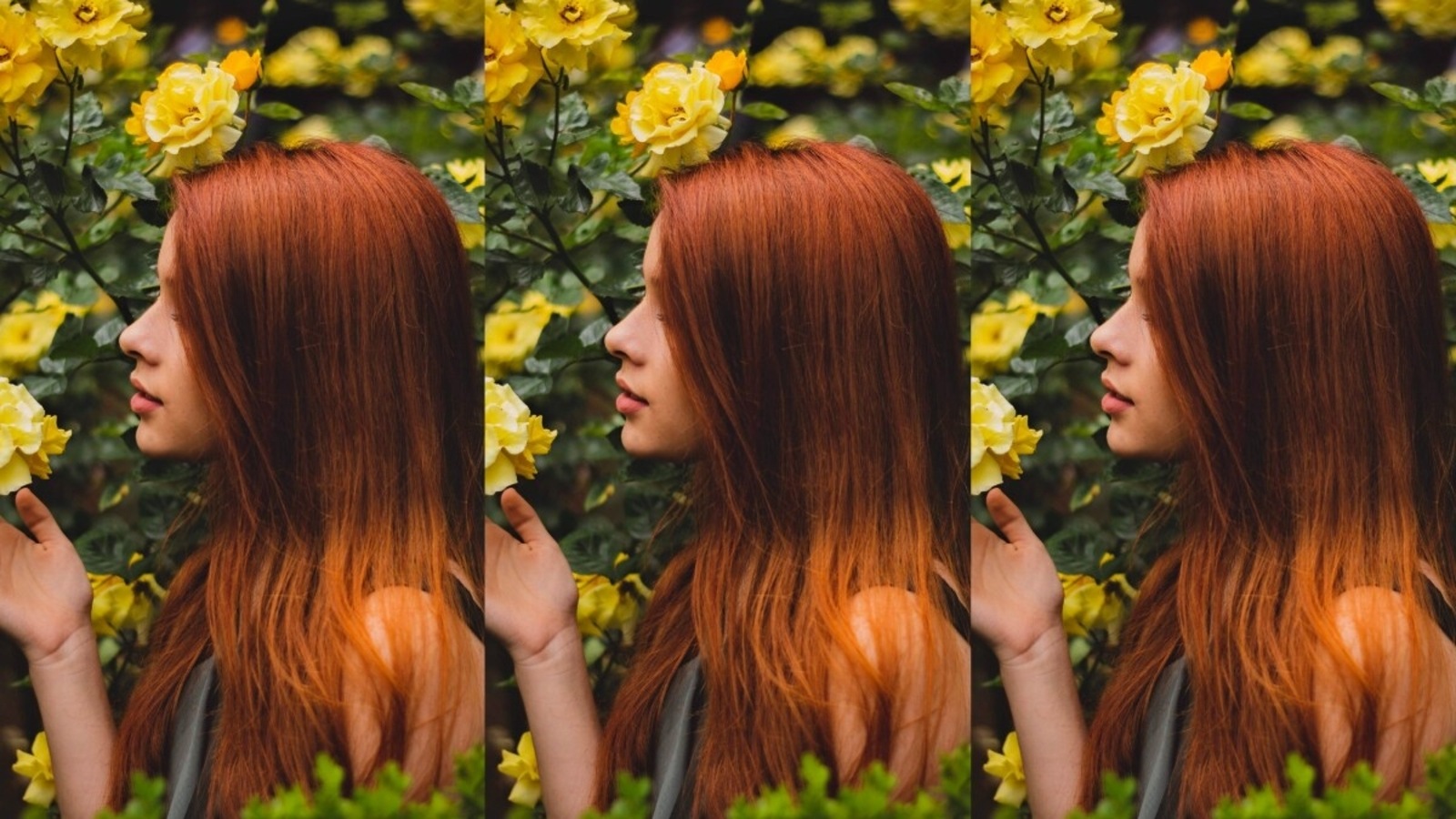 Chemical-free shampoos are gentle on hair and scalp, effective as well Chemical-free shampoos are gentle on hair and scalp, effective as well