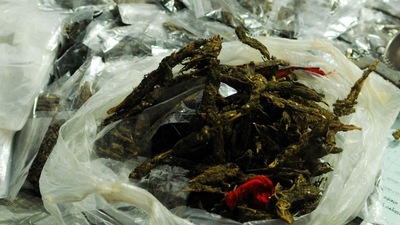 A total of 1956 bank accounts of the ganja case accused and their relatives have been frozen. (Representative Image) (HT Photo)