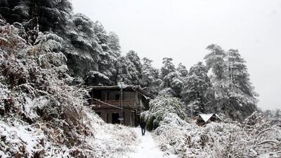 The higher reaches of Himachal Pradesh received overnight snowfall, while isolated places in the lower hills got rain on Monday morning, bringing down the temperature. (Deepak Sansta/HT file) The higher reaches of Himachal Pradesh received overnight snowfall, while isolated places in the lower hills got rain on Monday morning, bringing down the temperature. (Deepak Sansta/HT file)