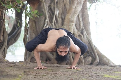 Kakasana (Crow pose) (Photo by Himalayan Siddhaa Akshar) Kakasana (Crow pose) (Photo by Himalayan Siddhaa Akshar)