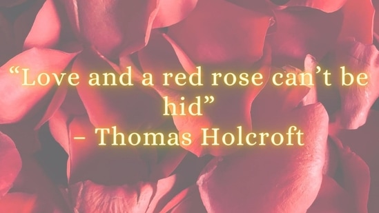 Rose Day 2023: Quotes for your love.(HT Photo) Rose Day 2023: Quotes for your love.(HT Photo)