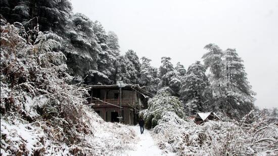 The higher reaches of Himachal Pradesh received overnight snowfall, while isolated places in the lower hills got rain on Monday morning, bringing down the temperature. (Deepak Sansta/HT file)