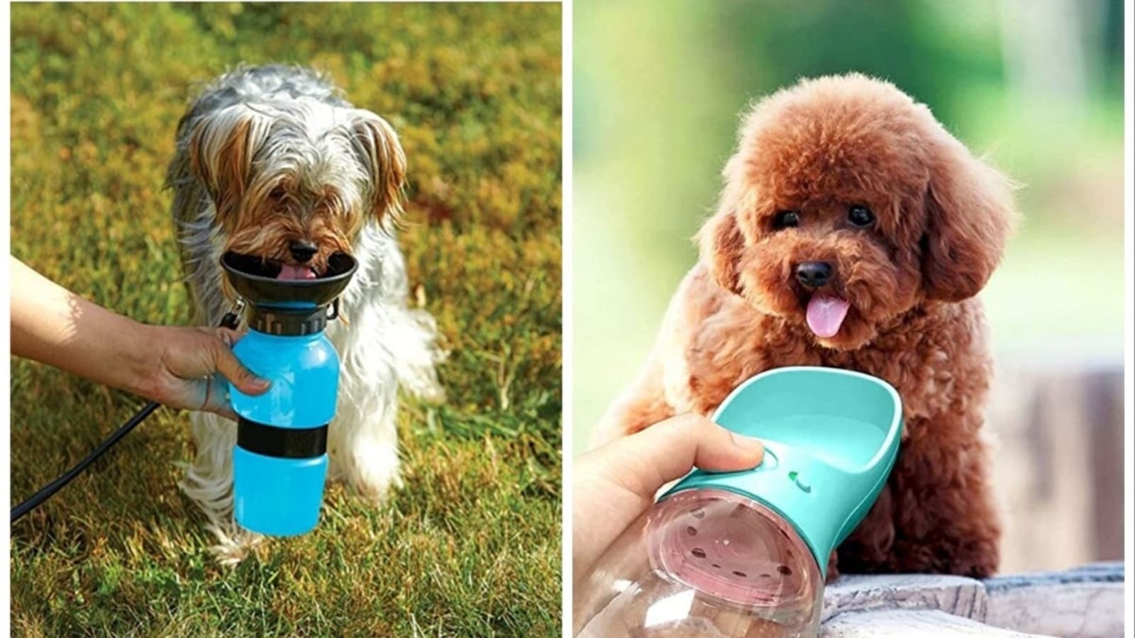 KUTKUT Dog Water Bottle for Outdoor Walking