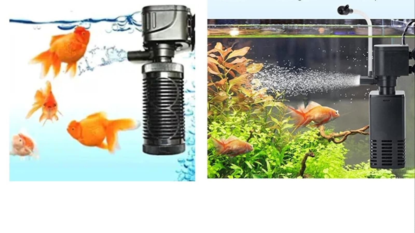 6 Ways to Fix Low Oxygen in a Fish Tank