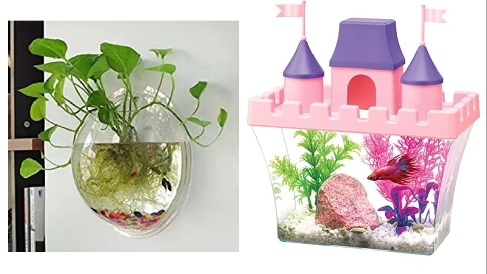 Small fish tanks that are cute and functional