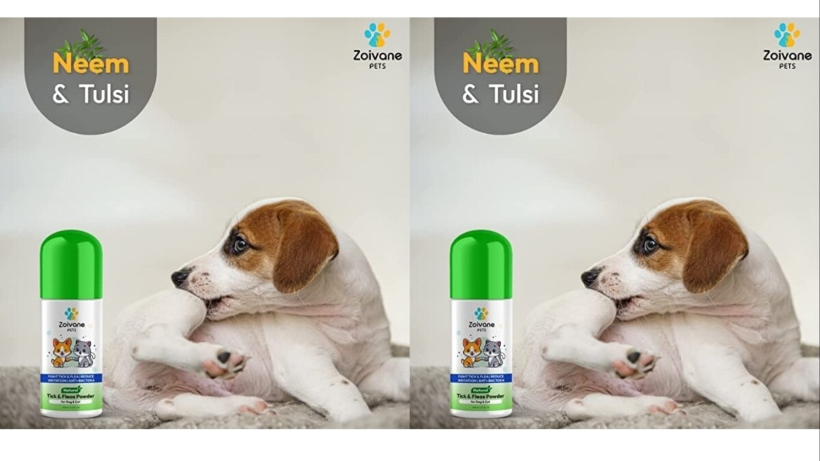 Antibacterial powder for dogs pets sales at home