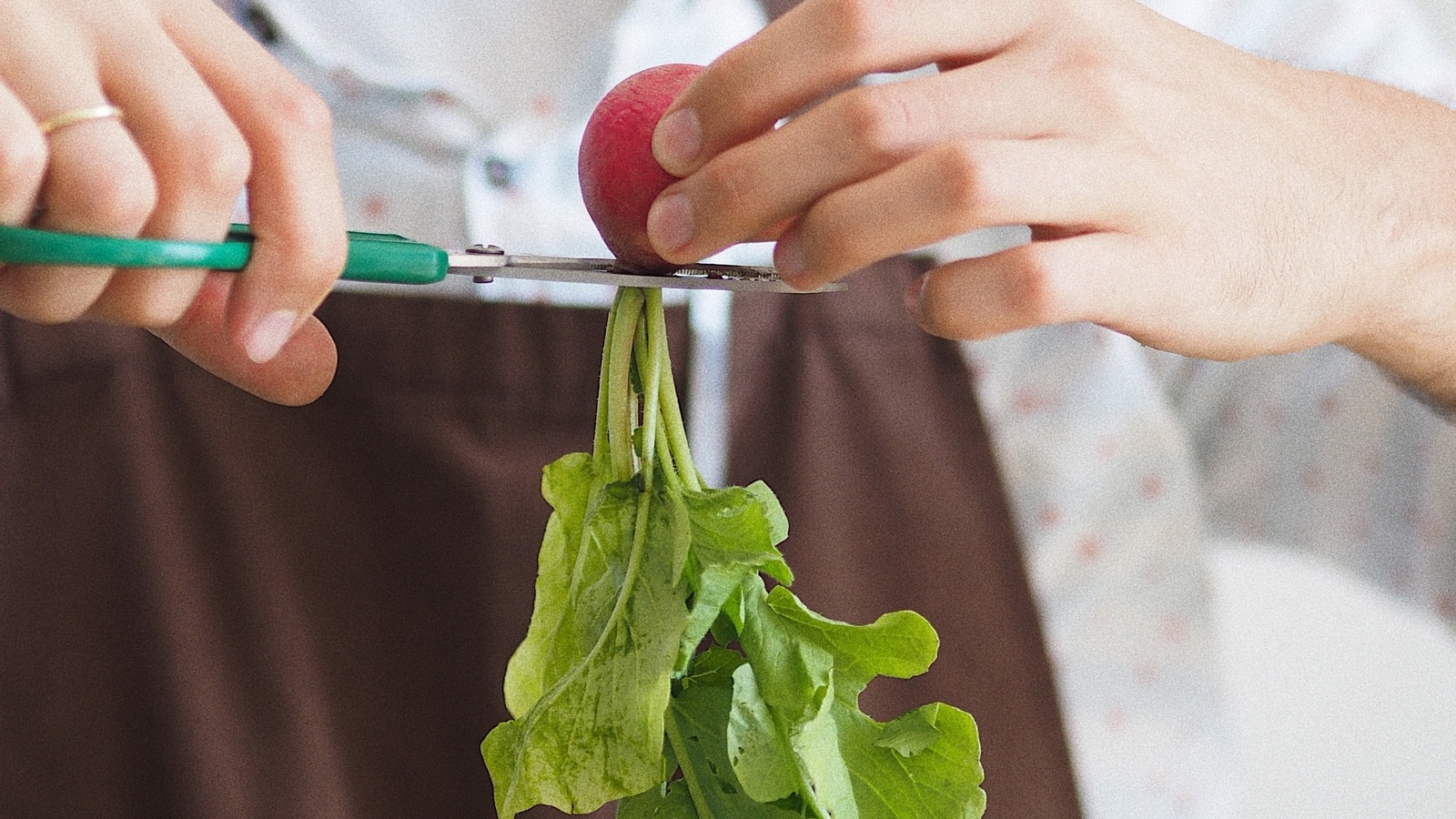 Vegetable cutting scissors: 2023's 10 must-haves