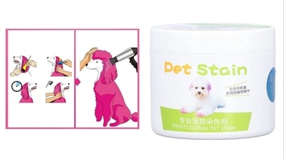 dog hair colours