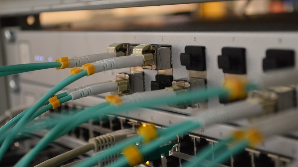 Най -добрите Ethernet кабели за бърза и надеждна интернет връзка