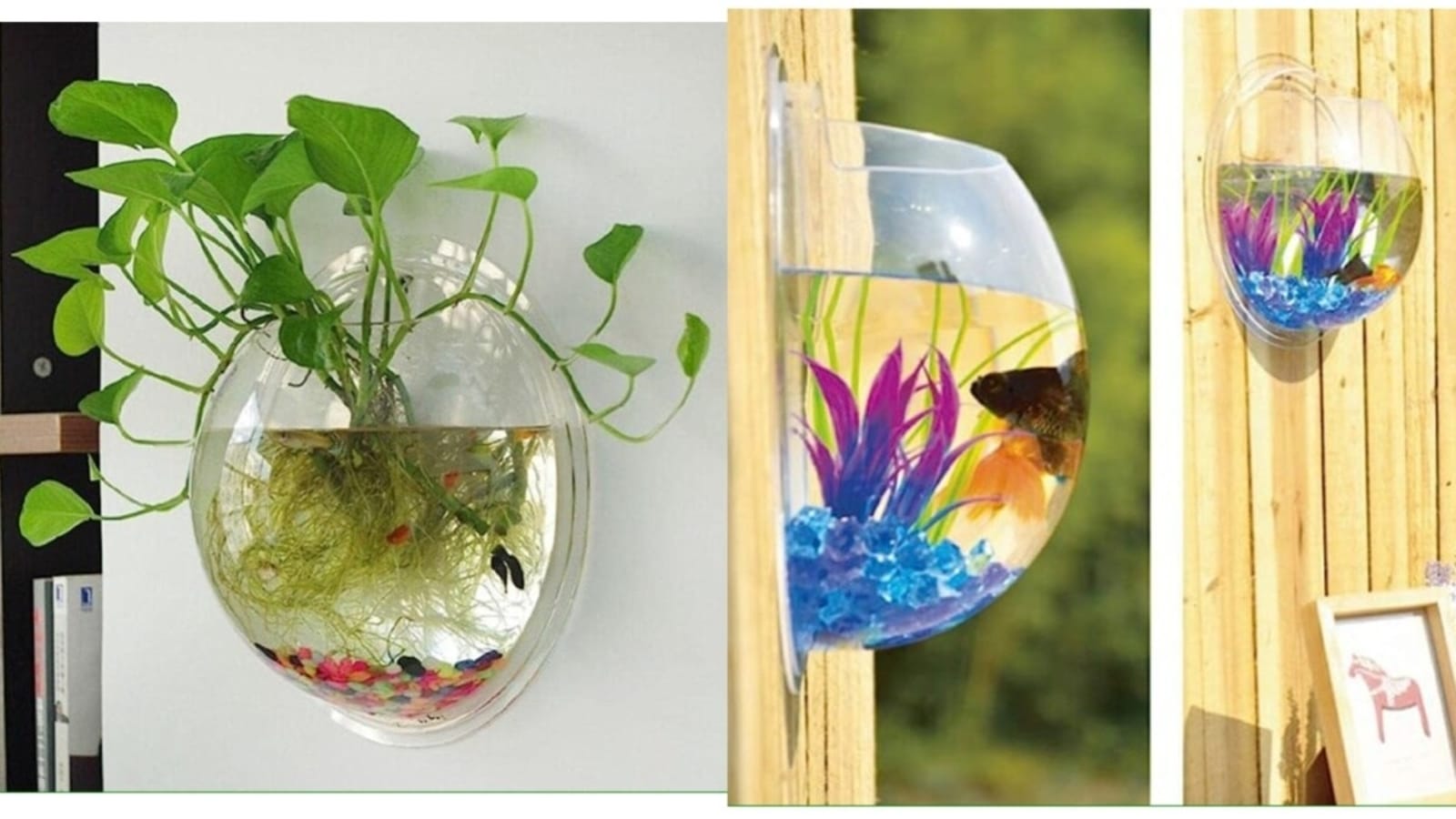 JAINSONS PET PRODUCTS Fish Tank Mini Aquarium, with Finger Touch