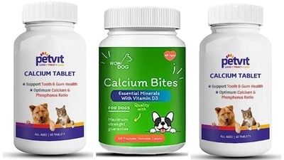 Calcium pills hot sale for dogs