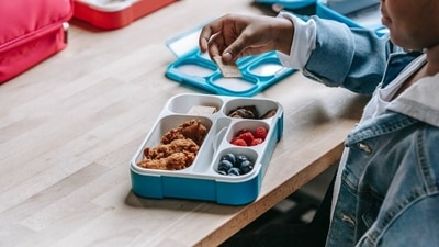 Signoraware lunch store box with bag