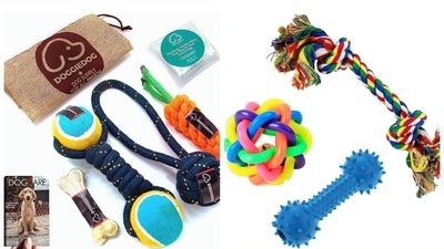 Rope Dog Toys, Heavy-Duty, Washable Dog & Puppy Toy for Stimulation,  Behavioral Training 