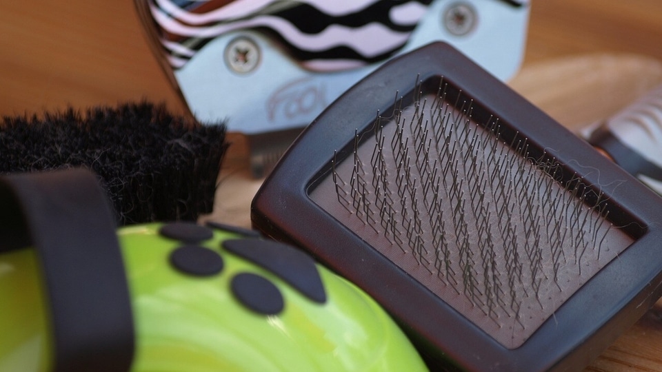 Untangling best dog combs for your canine