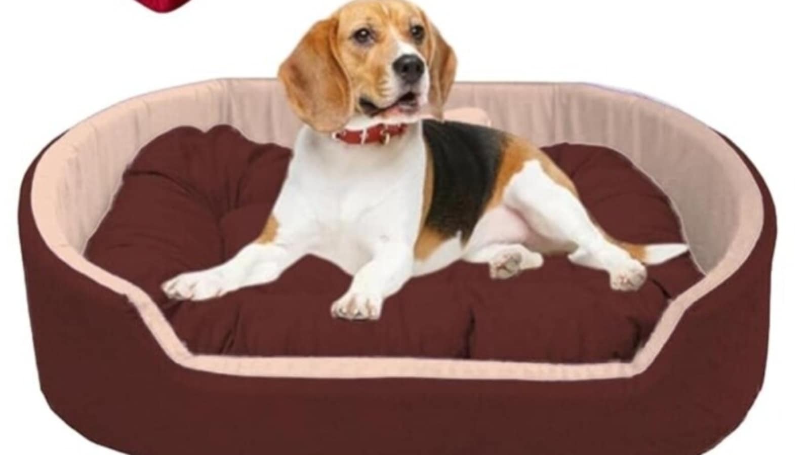 New Age Pet Buddy's Memory Foam Dog Cushion - Medium, Gray