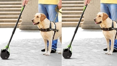 Pet products