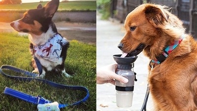 pet supplies 