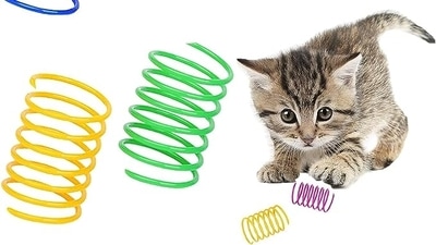 Favourite cat toys to keep your feline pal engaged: October 2023 buying  guide