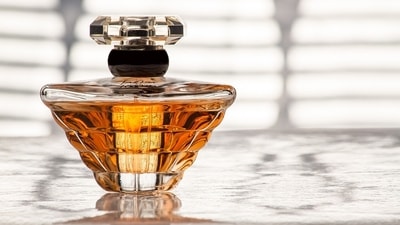 Best Chanel Perfumes of 2024 - Top Chanel Fragrances Worth Buying